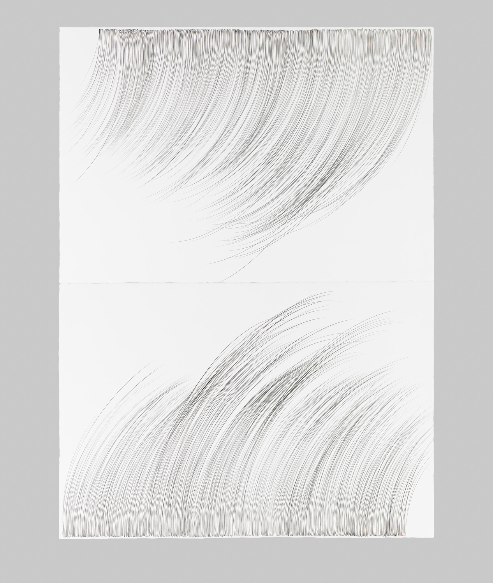 Large RainGrass, II   Graphite on cotton paper, 60 x 44 inches, diptych, 2015