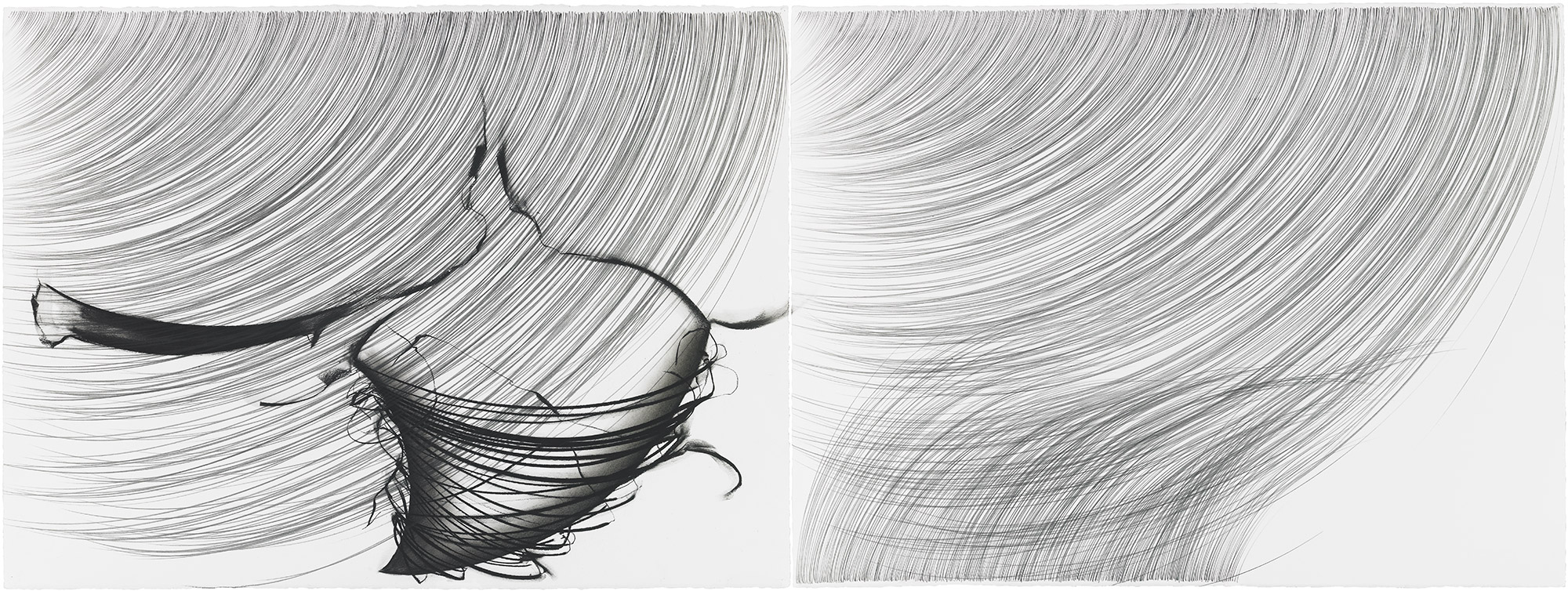 Bone Springs Rain Grass   graphite and pastel pigment on cotton paper, diptych, 22 ¼ x 60 inches, 2005