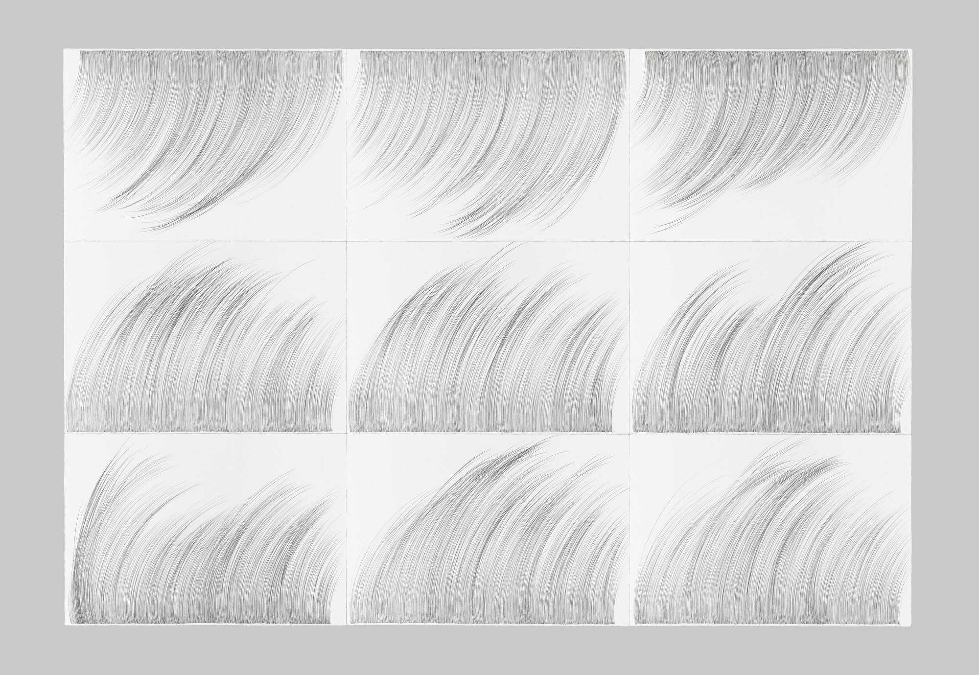 RainGrass for Section 21   Graphite on cotton paper , 90 x 132 inches, 9 panels, 2015