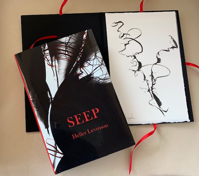Seep, Limited Edition Hardcopy and Print, Poems by Heller Levinson, Print by Linda Lynch, 2020, Hand Graphics, Santa Fe